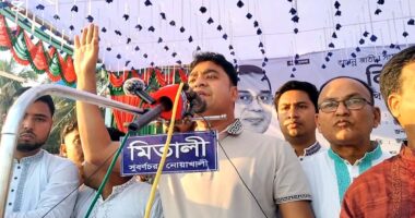 এক আপদ গেছে, নতুন করে আরেক বিপদ এসেছে : নাছির উদ্দীন নাছির