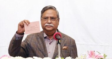 পোস্টাল ব্যালটে ভোট দিলেন রাষ্ট্রপতি মো. সাহাবুদ্দিন
