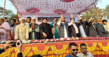 বিজয় উদযাপনের প্রস্তুতি নিতে নেতাকর্মীদের আহ্বান ভিপি নূরের