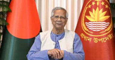 নির্বাচিত সরকারের কাছে দায়িত্ব অর্পণ করে, বিদায় নিয়ে নিজ কাজে ফিরে যাব’ : প্রধান উপদেষ্টা