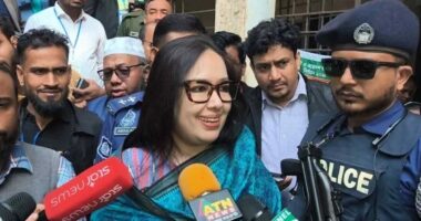 আমার কর্মীরা কিছুটা প্রশাসনিক হেনস্থার শিকার হচ্ছে : রুমিন ফারহানা
