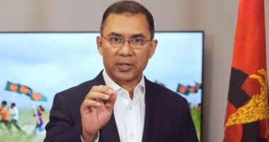 যাকে উপযুক্ত মনে করেন, তাকেই ভোট দিন : তারেক রহমান