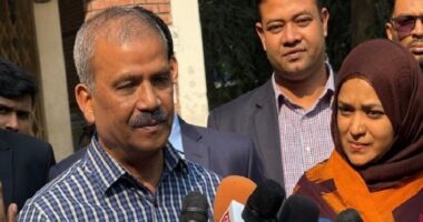 ‘১৪ ফেব্রুয়ারির মধ্যে ফলাফলের গেজেট, ১৭–১৮ ফেব্রুয়ারির মধ্যে নতুন সরকার’ : আসিফ নজরুল