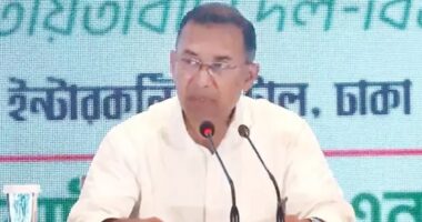 এ বিজয় গণতন্ত্রের, এ বিজয় বাংলাদেশের, এ বিজয় দেশের গণতন্ত্রকামী মানুষের  : তারেক রহমান