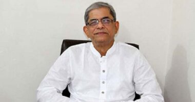 স্থানীয় সরকার মন্ত্রণালয়ের দায়িত্ব পেতে যাচ্ছেন মির্জা ফখরুল