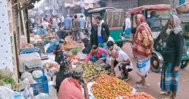 ফাল্গুনের ভোরে প্রাণচাঞ্চল্য, তবে লেবুর দামে ‘ঝাঁজ’