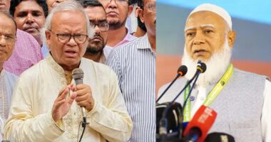 কদিন পর হয়তো বলবেন, গোলাম আজমই স্বাধীনতার ঘোষক : রিজভী