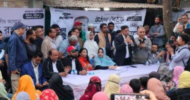 ধানের শীষের পক্ষে জনগণের সাড়া দেখে আমরা অভিভূত, ইনশাআল্লাহ ধানের শীষ বিজয়ী হবে : প্রয়াত কোকোর সহধর্মিণী