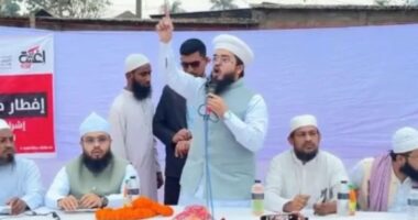 ‘আমি হানজালা খোঁচাখুঁচি করলে বিএনপি এ দেশে থাকতে পারবে না’ : সাইদ উদ্দিন