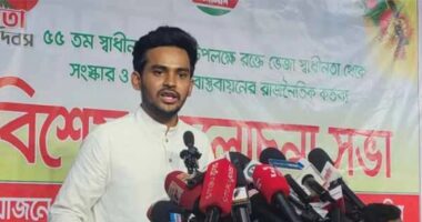 নিশ্চয়ই সরকারের অনুমতি সাপেক্ষে বড় কোন কোম্পানি তেল মজুদ করছে  : আসিফ মাহমুদ