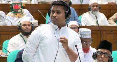 সরকারের পক্ষে গেলে নিয়ম আর বিপক্ষে গেলে কাস্টম : হাসনাত আবদুল্লাহ