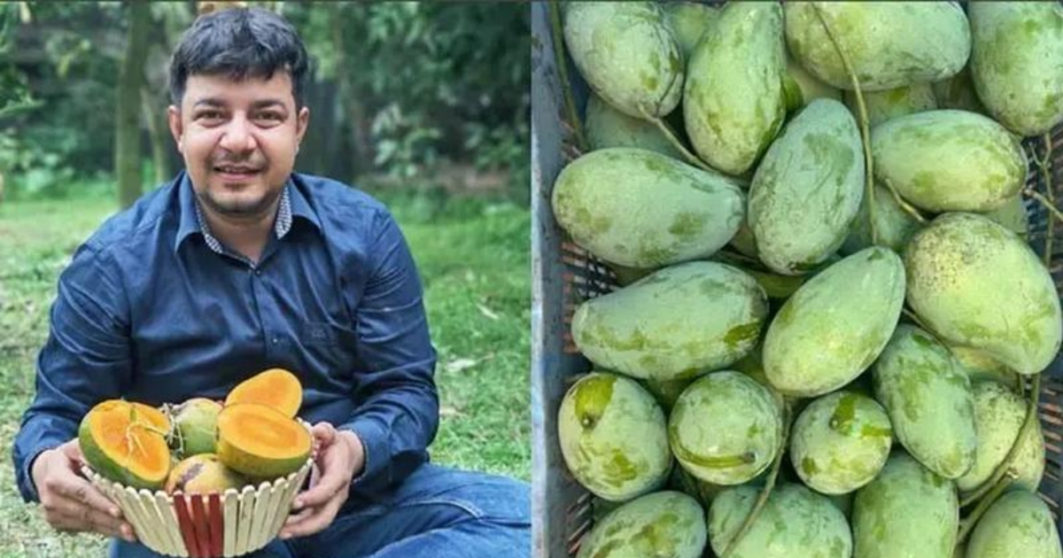 ভুয়া অর্ডার দিয়ে বেশি হয়রানি করেছে জামায়াতের ভাইয়েরা : তারেক রহমান