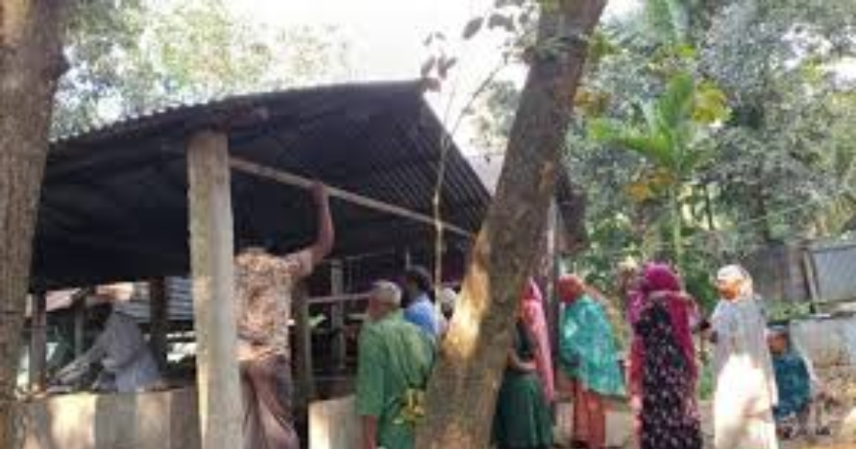 কালীগঞ্জে ভয়াবহ অগ্নিকাণ্ডে ইমামের খামার পুড়ে ছাই, পাঁচ গরুর মৃত্যু