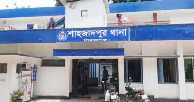 শাহজাদপুরে ২ সন্তানসহ গৃহবধূর বিষপানে আত্মহত্যার চেষ্টা