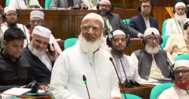 একাত্তরে পাকিস্তানি বাহিনীর সহযোগী হিসেবে জামায়াতের নাম বহাল রেখে বিল পাস