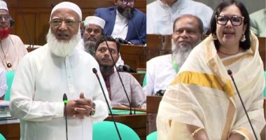 রুমিন ফারহানার বক্তব্যকালীন সরকারি এমপিদের 'অশোভন অঙ্গভঙ্গি', জামায়াত আমিরের নিন্দা