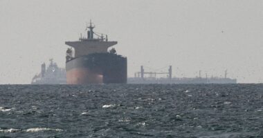হরমুজ প্রণালিতে ২ জাহাজ জব্দ, দাবি ইরানের