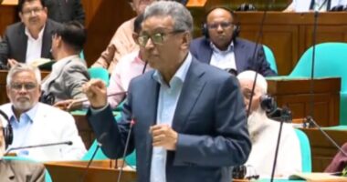 ‘বিএনপি সরকারের সময় শেয়ার বাজার লুটপাটের কোনো সুযোগ ছিল না, ইনশাল্লাহ এবারও থাকবে না' : অর্থমন্ত্রী