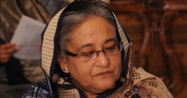 শেখ হাসিনাকে ফেরত পাঠানোর অনুরোধ খতিয়ে দেখছে ভারত: জয়সওয়াল