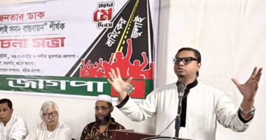 আওয়ামী লীগের মতোই একাত্তরের চেতনা বিক্রি করছে বিএনপি: রাশেদ প্রধান