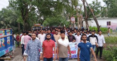 সুবর্ণচর উপজেলা ছাত্রদলের নতুন কমিটি ঘোষণা করায় আনন্দ মিছিল