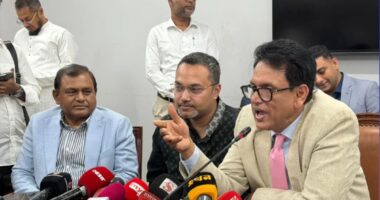 বাংলাদেশ হবে পৃথিবীর সেরা এডুকেশন হাব : শিক্ষামন্ত্রী
