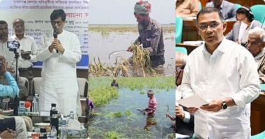 অতিবৃষ্টিপাতে সৃষ্ট জলাবদ্ধতায় ক্ষতিগ্রস্ত কৃষকদের প্রধানমন্ত্রী তারেক রহমানের সহায়তা প্রদান