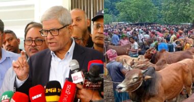 কোরবানির পশুর হাটকে কেন্দ্র করে কোনো ধরনের চাঁদাবাজি সহ্য করা হবে না : মির্জা ফখরুল
