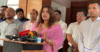 শিক্ষাখাতের উন্নয়নে নতুন করে কাজ শুরু করেছে সরকার: পররাষ্ট্র প্রতিমন্ত্রী