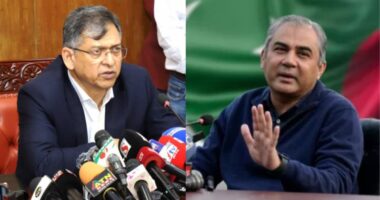 ঢাকায় আসছেন পাকিস্তানের স্বরাষ্ট্রমন্ত্রী, আলোচনায় মাদক ও সন্ত্রাস দমন