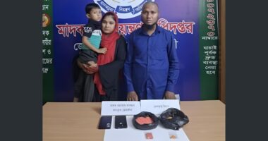 মাদক কারবারে শিশুর ব্যবহার, সেনবাগে দম্পতি গ্রেপ্তার