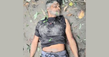 শিবগঞ্জে গরু চুরি করতে এসে গণপিটুনিতে চোর নিহত