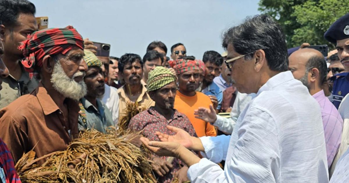 আমি নিজেও একজন কৃষক, আমার ধানটা এরকম পচলে আমিও বুঝতাম কত কষ্ট : কৃষিমন্ত্রী