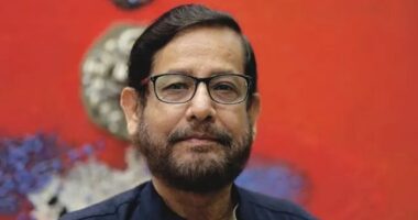 জামিন পেলেন আসাদুজ্জামান নূর
