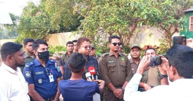 ঘাটাইলে ৩ অবৈধ করাতকল উচ্ছেদ ও মালামাল জব্দ করে