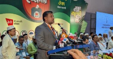 সংবিধান সংস্কারে সরকারি দলের জ্ঞানের ঘাটতি আছে: শিশির মনির