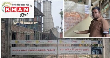 উত্তরবঙ্গে সাড়া ফেলেছে: নলডাঙ্গার খান রাইস প্রসেসিং প্ল্যান্ট-খাঁটি চাল
