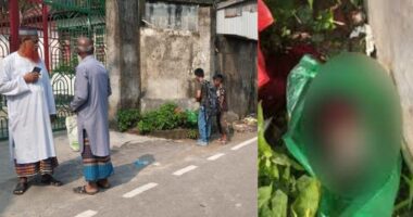 মুন্সিগঞ্জে রাস্তার পাশ থেকে পলিথিনে মোড়ানো শিশুর ভ্রুণ উদ্ধার