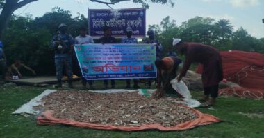 নিষেধাজ্ঞা অমান্য করে সাগরে মাছ ধরায় তিন ট্রলার মালিককে জরিমানা