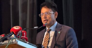 দেশের সব শিক্ষাপ্রতিষ্ঠানে সোলার প্ল্যান্ট বসানোর ঘোষণা শিক্ষামন্ত্রীর