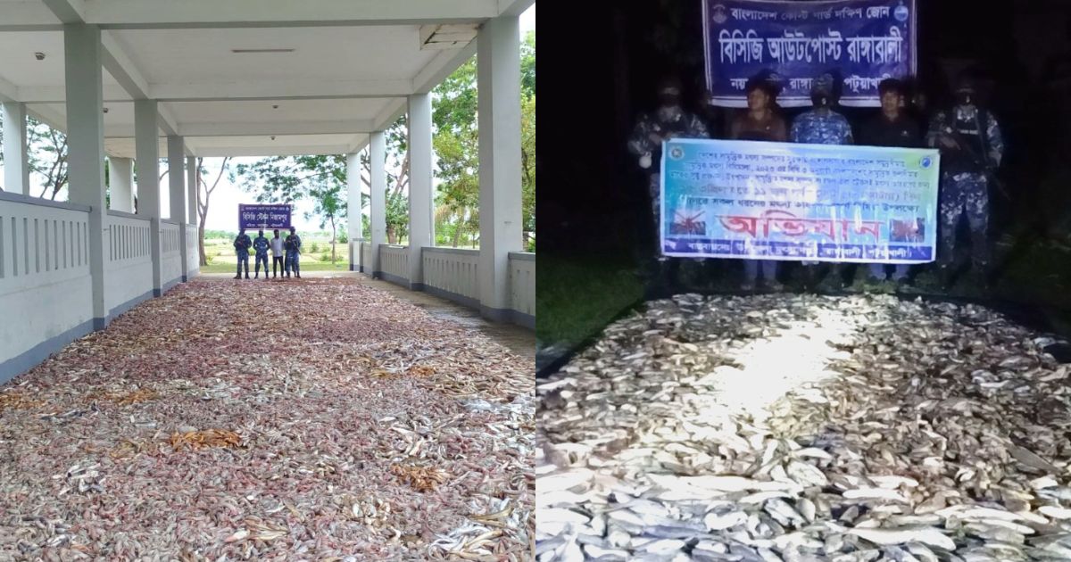মহিপুর ও রাঙ্গাবালীতে পৃথক অভিযানে বিপুল পরিমাণ সামুদ্রিক মাছ জব্দ