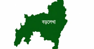 বড়লেখায় ১২ বছরের শিশুকে বলাৎকারের অভিযোগে মুদি দোকানদার আটক
