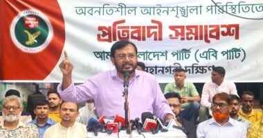 ৩১ দফার কথা বলে পুরনো বন্দোবস্তে ফিরেছে বিএনপি: এবি পার্টি