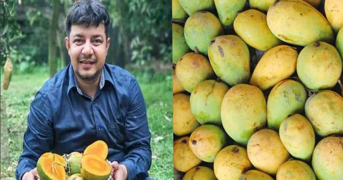 আম বিক্রি থামাতে নতুন ষড়যন্ত্র করছে জামায়াত-শিবির: তারেক রহমান
