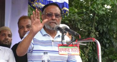 দেশে অবস্থিত বিদেশি দালালদের চিহ্নিত করতে হবে : কর্নেল অলি আহমদ