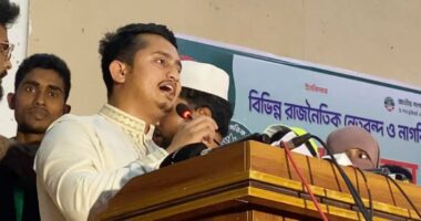 আ.লীগের মতো বিএনপির নেতাকর্মীরা মিডিয়া নিয়ন্ত্রণ করছে: সারজিস আলম