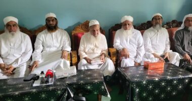 হেফাজতে ইসলামের মধ্যে কোনো বিভেদ নেই, ১১ দলীয় জোট কেবল রাজনৈতিক প্ল্যাটফর্ম: মামুনুল হক
