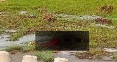 কলাপাড়ায় রাবনাবাদ নদীর তীরে অজ্ঞাত নারীর মরদেহ উদ্ধার