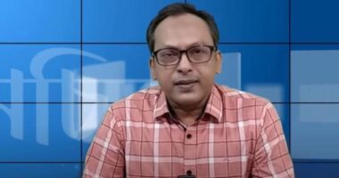 ‘দেশ রসাতলে যাবে, আর বসে থাকবো, এতটা ঠান্ডা মাথার সুশীল অন্তত আমি নই’ : সাংবাদিক পান্না