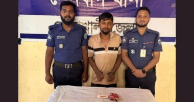 সেনবাগে ২৫ পিস ইয়াবাসহ শীর্ষ মাদক ব্যবসায়ী গ্রেপ্তার